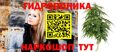 сатива Донецк