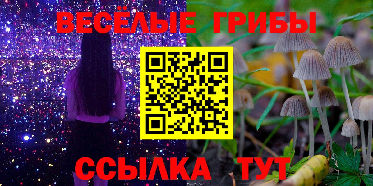 Галлюциногенные грибы Psilocybe Можга